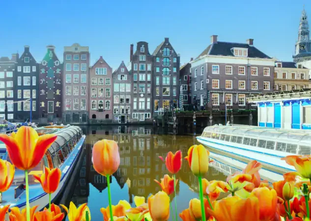 2025年12月郵輪公司促銷活動